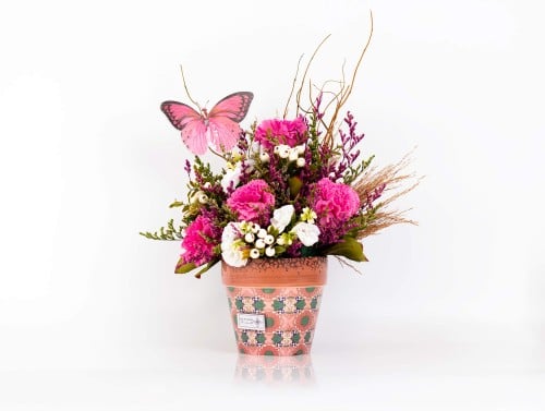 مارموريا فلوراليس