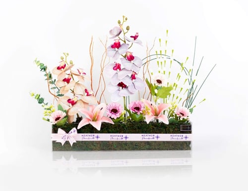 ستاند روزيلا