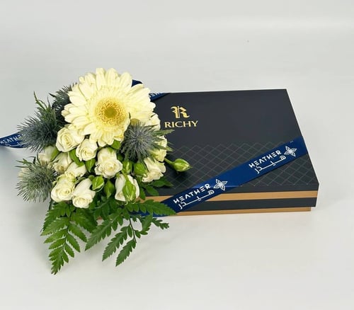 شماغ ريتشي الأبيض | ألبيونا مونتانا