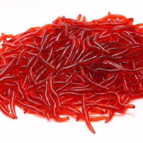 ديدان صيد اصطناعية