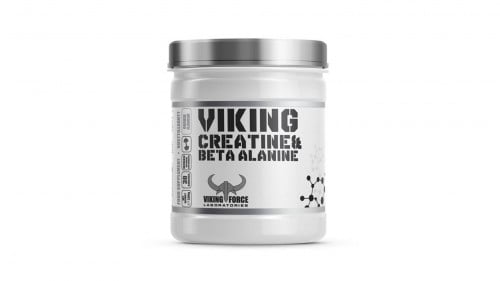 فايكينغ فورس - بيتا الانين & كرياتين 300 جم
