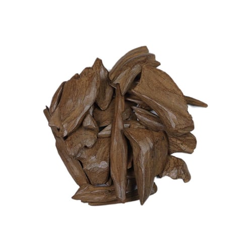 عود مروكي محسن شبيه الطبيعي