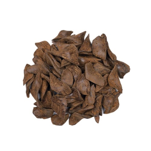 عود مروكي محسن بيور