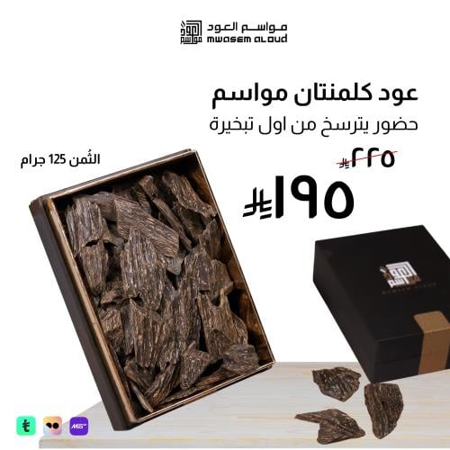 عود كلمنتان مواسم