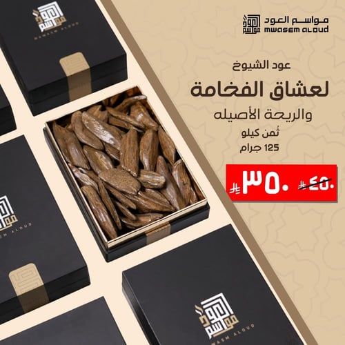 عود الشيوخ يليق بالمقام