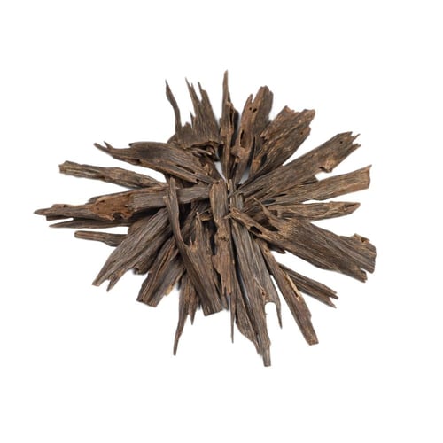 عرض الإهداء لمسة فاخرة تعبّر عنك