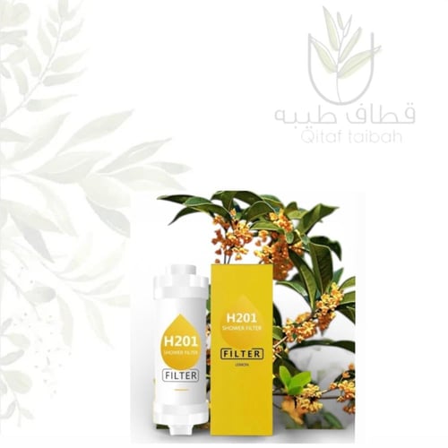 فلتر دش استحمام