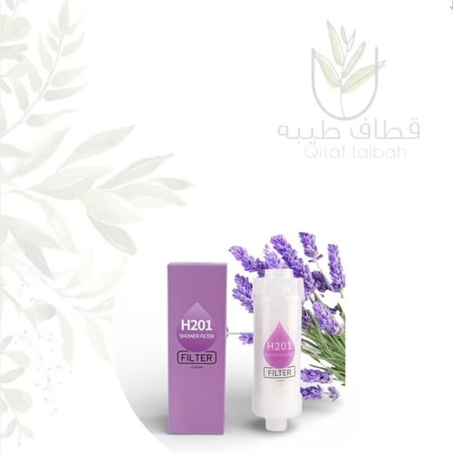 فلتر دش استحمام