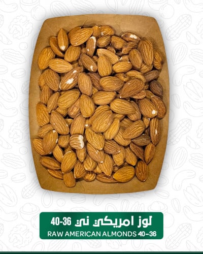 لوز امريكي ني مقاس 36-40