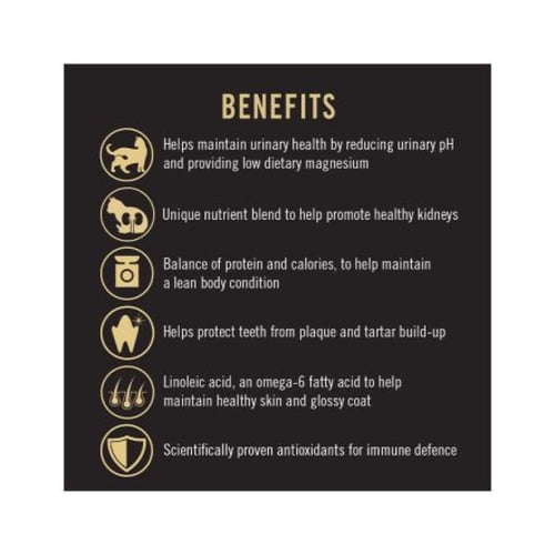 طعام جاف بالدجاج للعناية بالمسالك البولية للقطط من...