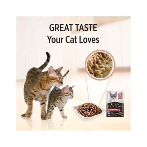 طعام رطب بقطع سلمون تندر في مرق للعناية بجمال القط...