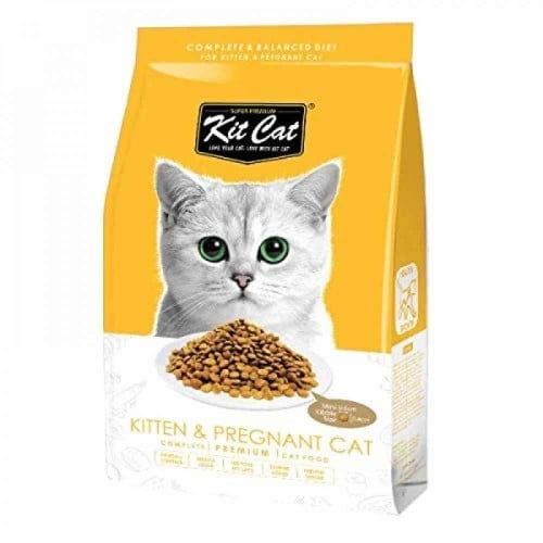 كت كات طعام جاف للقطط الصغيرة والحوامل