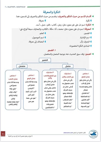 بكج الرخصة المهنية اللغة العربية 2 ( ملزمة pdf + ا...