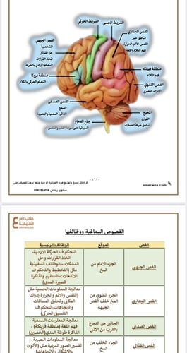ملزمة علم النفس لهيئة التخصصات الصحية pdf