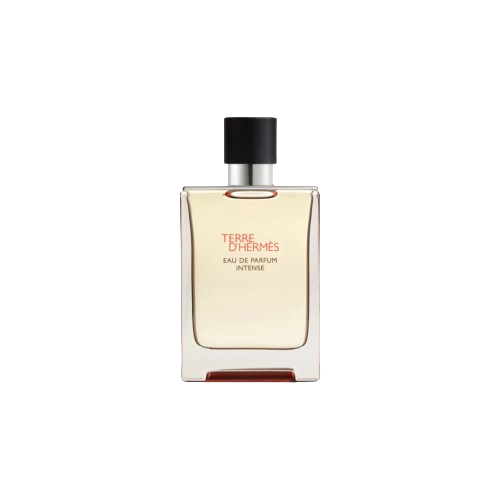 عطر هيرمس تيري دي هيرمس او دو بارفيوم انتنس 100مل