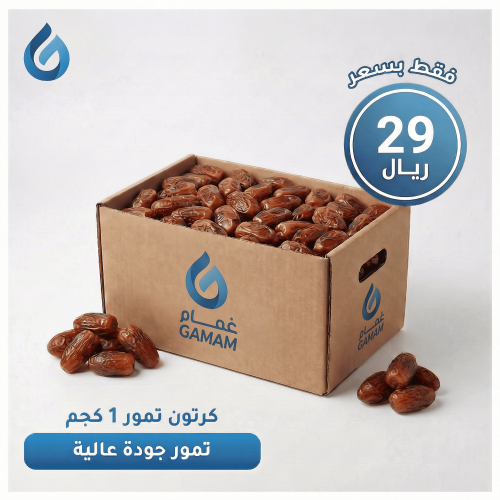 كرتون تمر 1 كجم