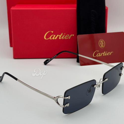 نظارة كارتير معدني فضي بعدسة سوداء