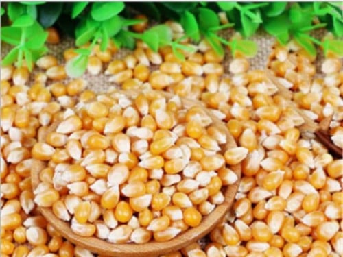 بذور ذرة حساوي 15جم