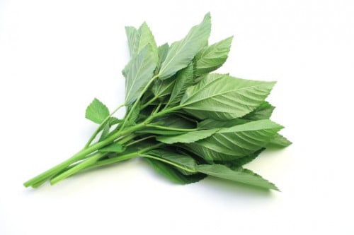 ملوخية - حزمة