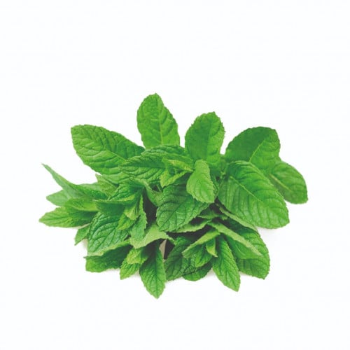 نعناع - حزمة