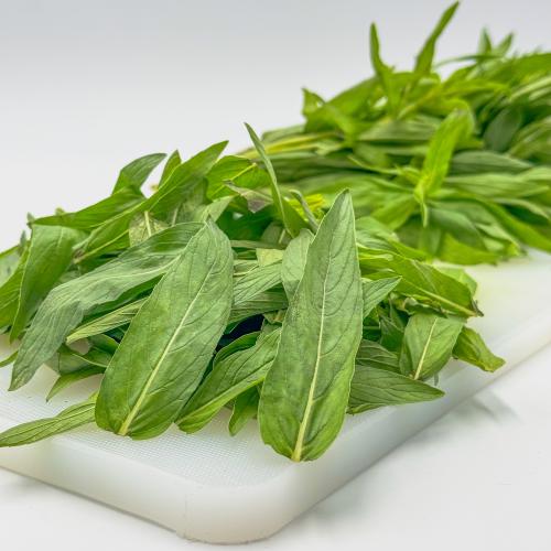 حبق مقطف - عبوة