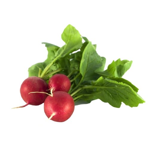 فجل احمر - حزمة