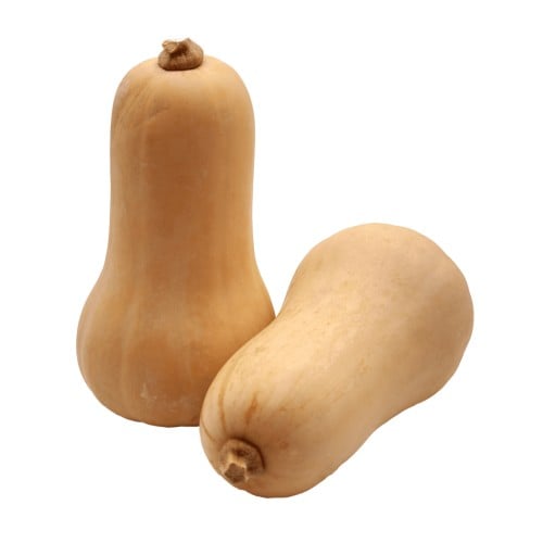 قرع امريكي - حبة