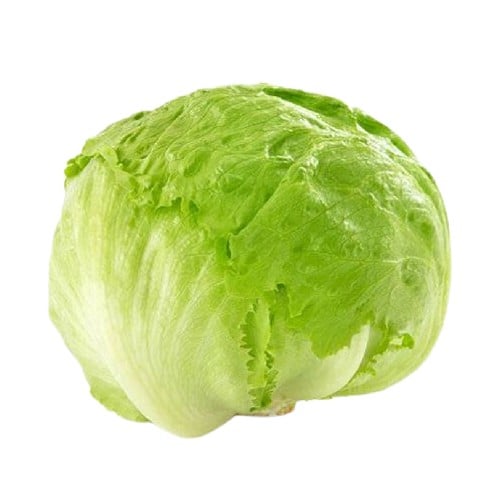 خس مدور - حبة