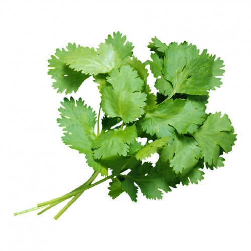 كزبرة - حزمة