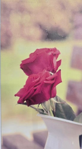 تغليف جلد لخلفية الجوال