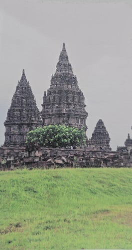 تغليف جلد لخلفية الجوال