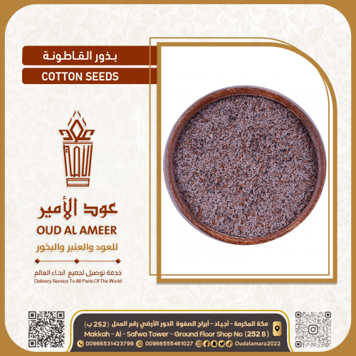 بذور القاطونه