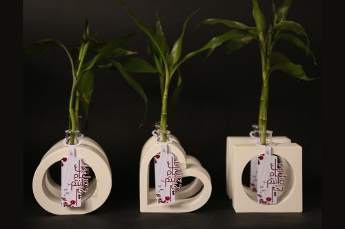 فازة ورد جبس بتصميم عصري - ريانة العود