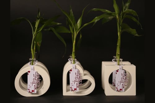 طقم فازات ورد 6 قطع أنيقة مع كروت تهنئة وبامبو