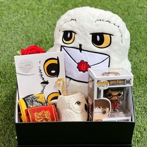 بوكس هيدويق. بومة هاري بوتر