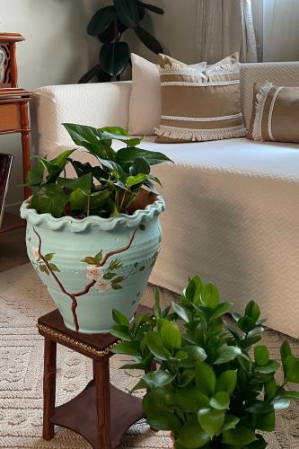 مركن نباتات فخار ( اصيص ) كبير