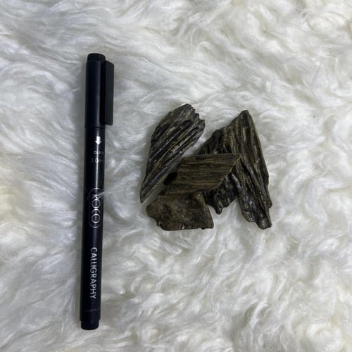 محسن كلمنتان فاخر