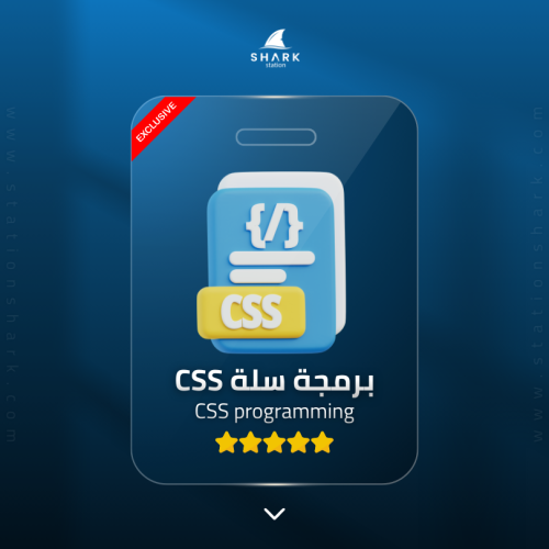 خدمة برمجه css لمتاجر سله