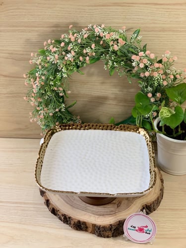 ستاند تقديم