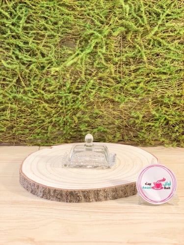 صحن تقديم ميني