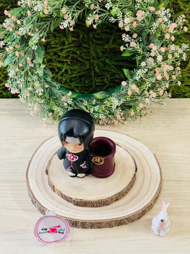 مقلمية بشخصية انمي