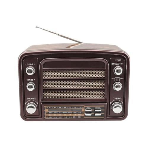 راديو ومكبر صوت كلاسيكي من DENX DX2438