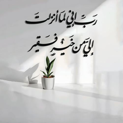 رب إني لمآ أنزلت إلي من خير فقير