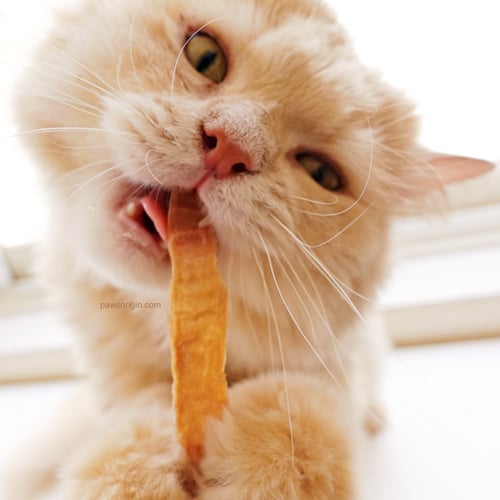 رقائق الدجاج