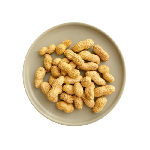 فول سوداني كامل للطيور