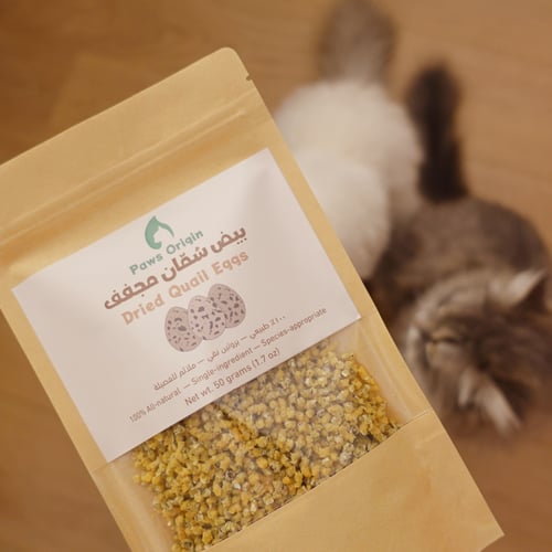 بيض سمان (مجفف / بودرة)