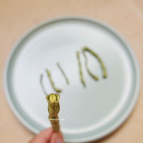 أعواد فاصوليا مجففة