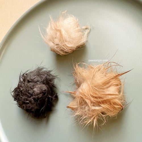 فراء أرانب بالكاتنيب