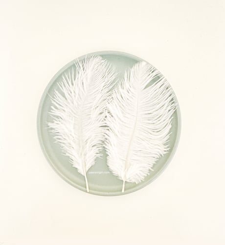 ريش طبيعي لألعاب القطط