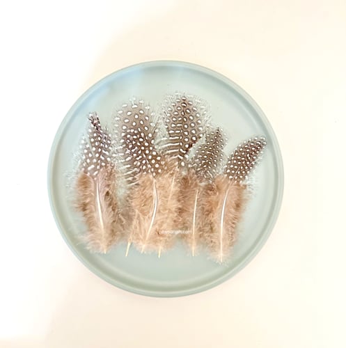 ريش طبيعي لألعاب القطط